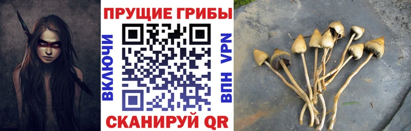 Галлюциногенные грибы прущие грибы  Купить где  Власиха 